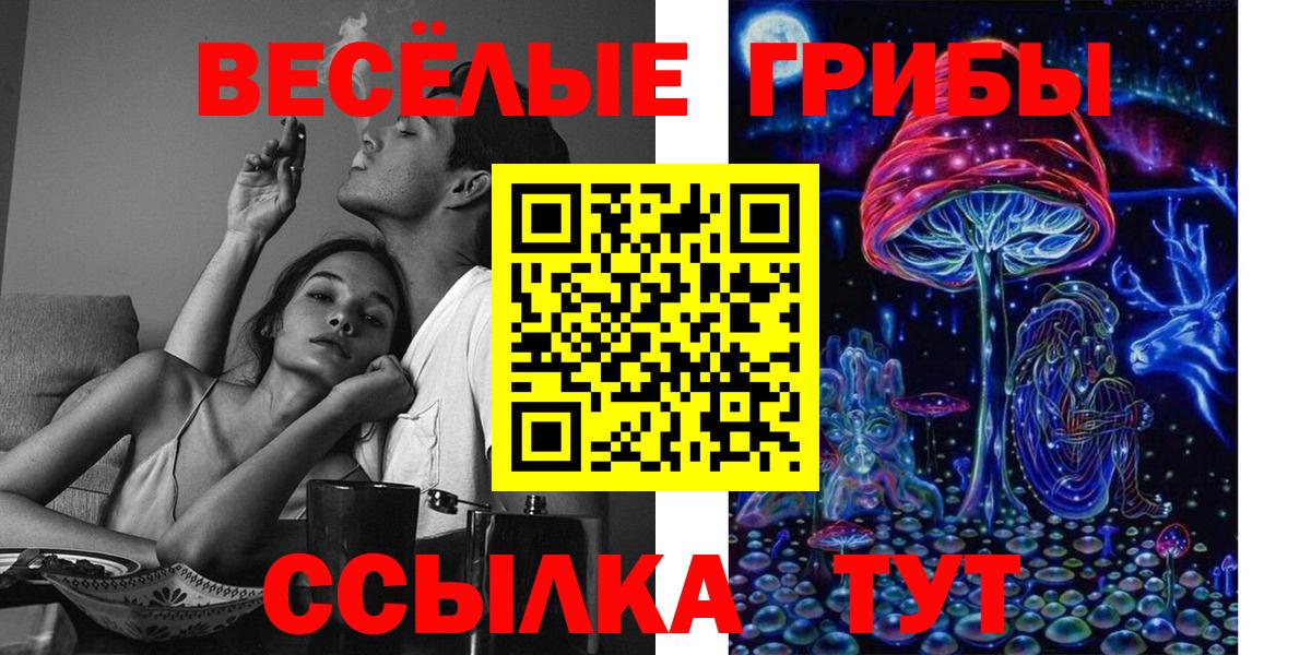Псилоцибиновые грибы прущие грибы  Псилоцибиновые грибы ЛСД  Вход с VPN  Ртищево 